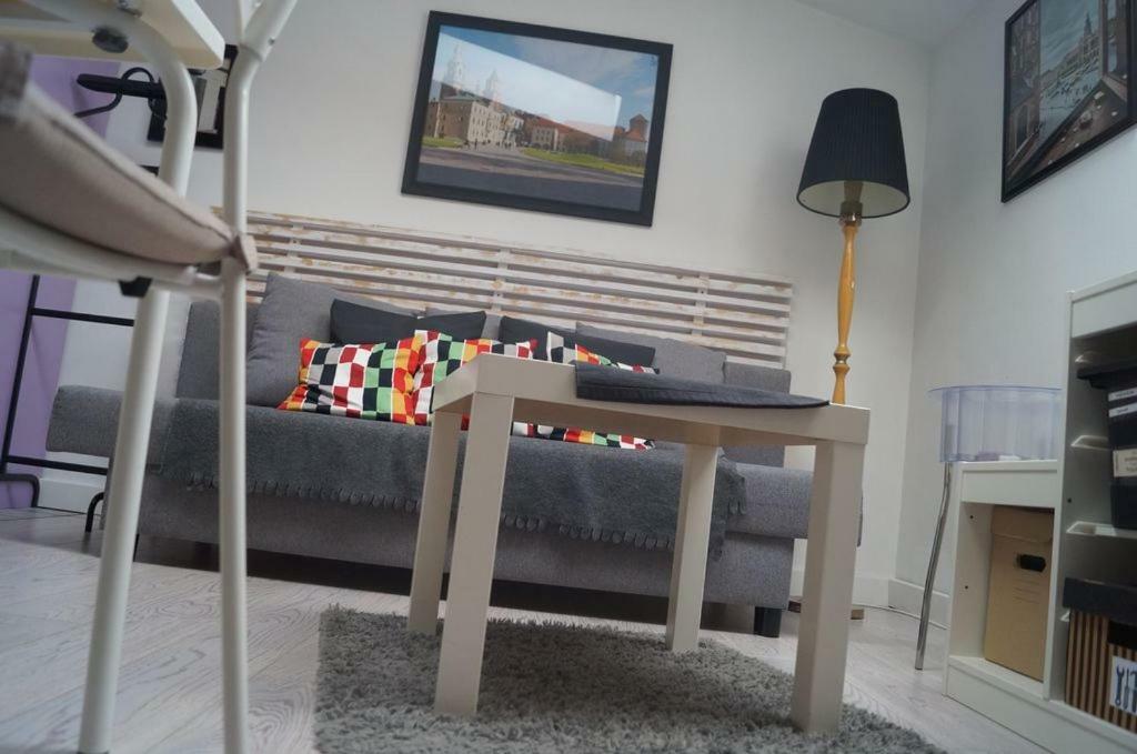 Apartament Arianska 克拉科夫 外观 照片